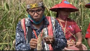 Tokoh adat Dayak