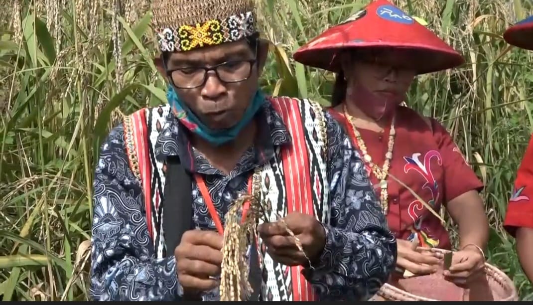 Tokoh adat Dayak